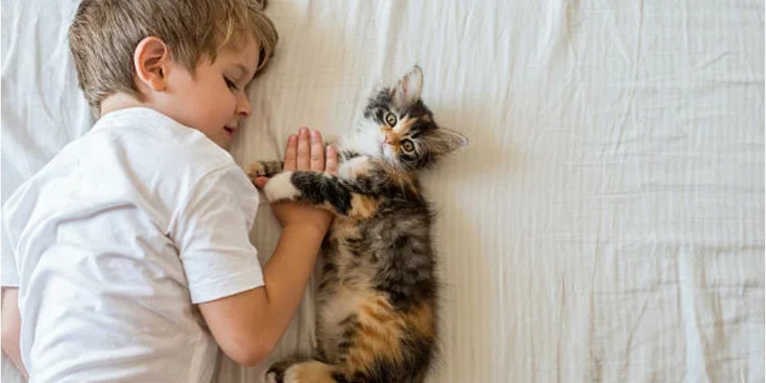 Татьяна нашла брошенного котёнка, но вдруг нашлись хозяева и потребовали котёнка обратно