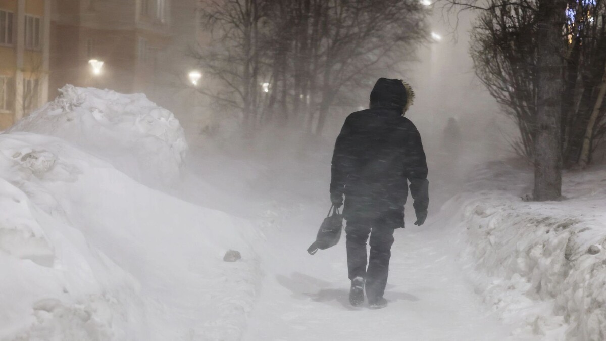    Фото: Андрей Ткачев / «Ямал-Медиа»