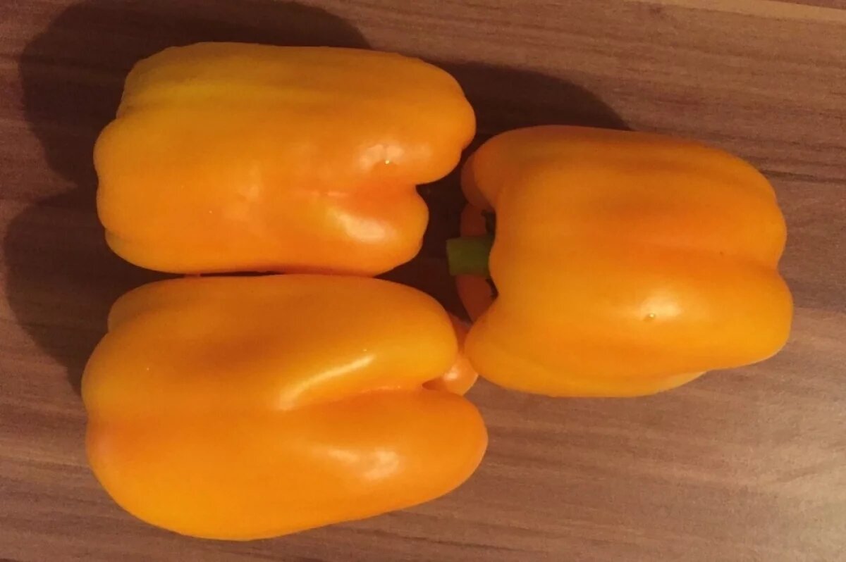    Агроном Терентьев рассказал о самых устойчивых сортах перца