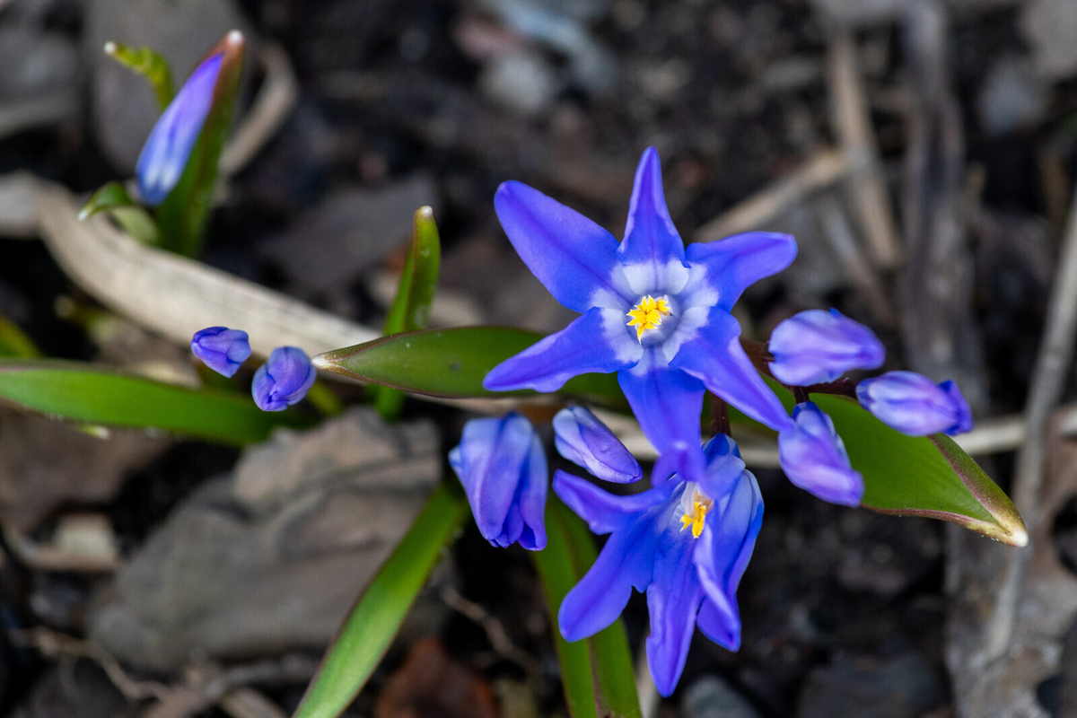 Фото: Олег Золото / «Петербургский дневник»