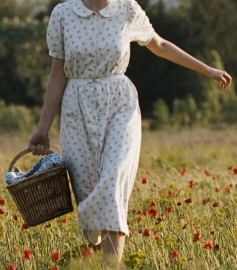 СЕДОЙ КОВЫЛЬ...