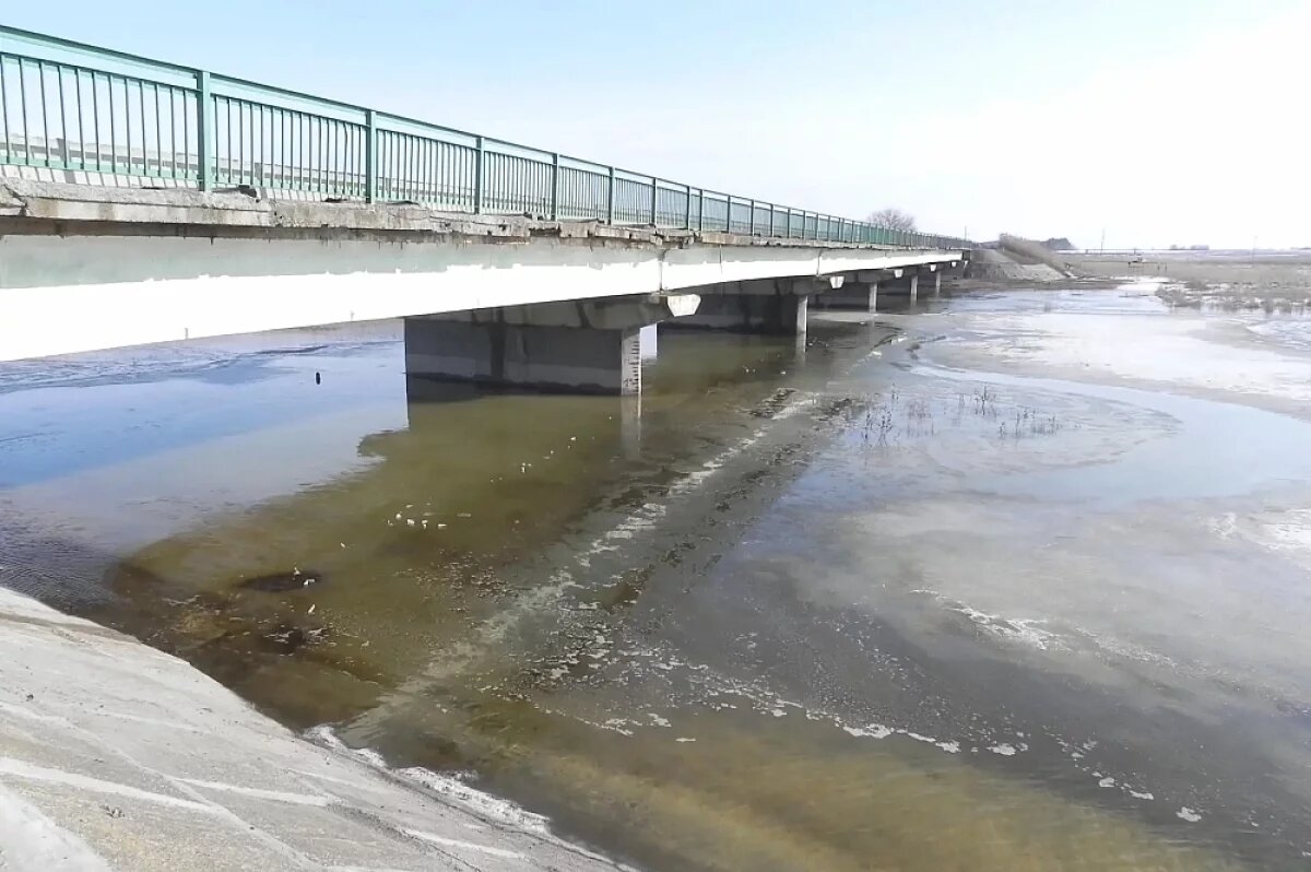    В Волгоградскую область пришла большая вода