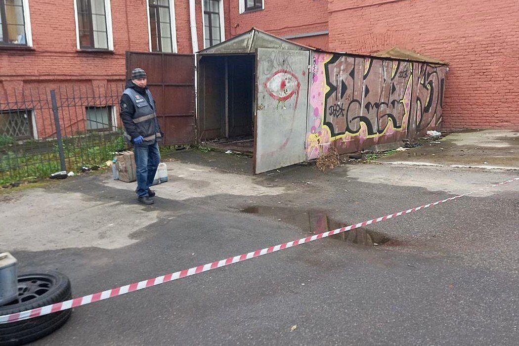 Фото: Илья Огородников/«Петербургский дневник»