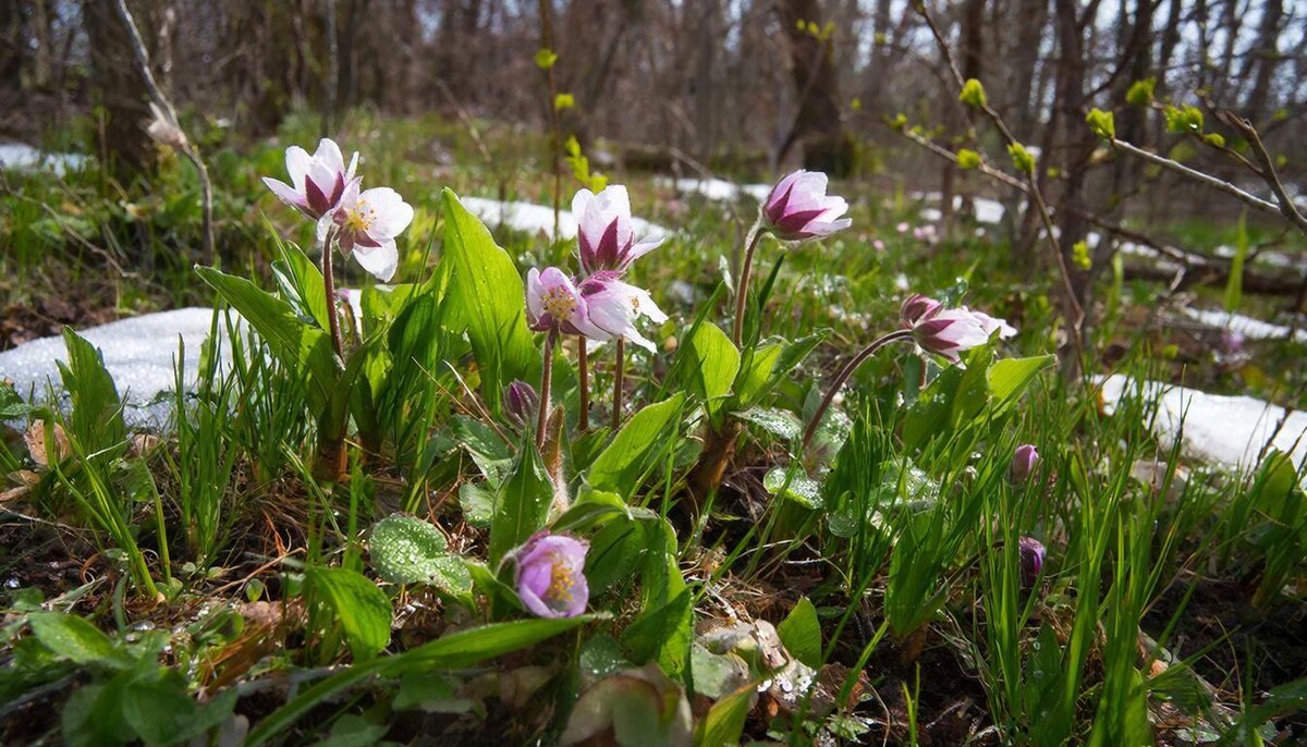 Самое время для того,  чтобы не держаться за прошлое, а выбрать что же самое важное в жизни.