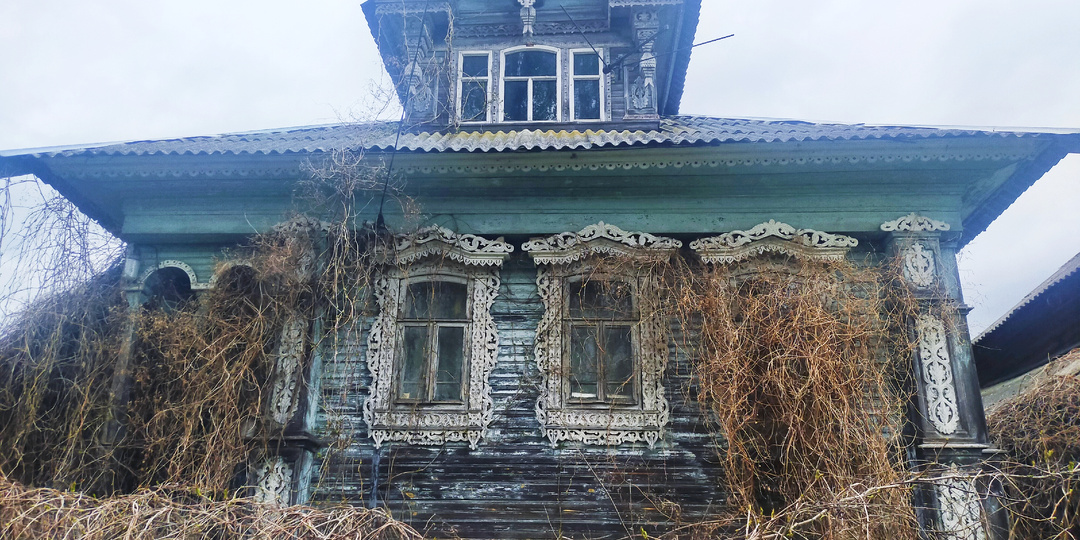 Природа берёт своё: как экосистемы возрождаются на месте заброшенных деревень