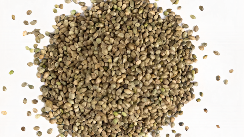 Семена конопли