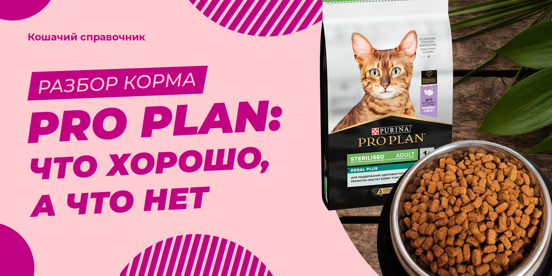 Корм Pro Plan: разбираю состав по ингредиентам — что хорошо, что нет