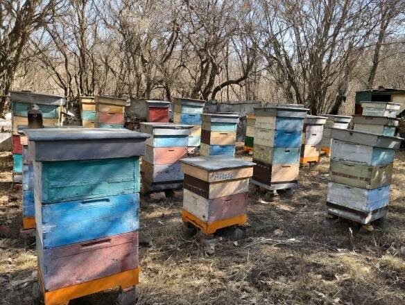    Фото: администрация Предгорного округа Светлана Уварова