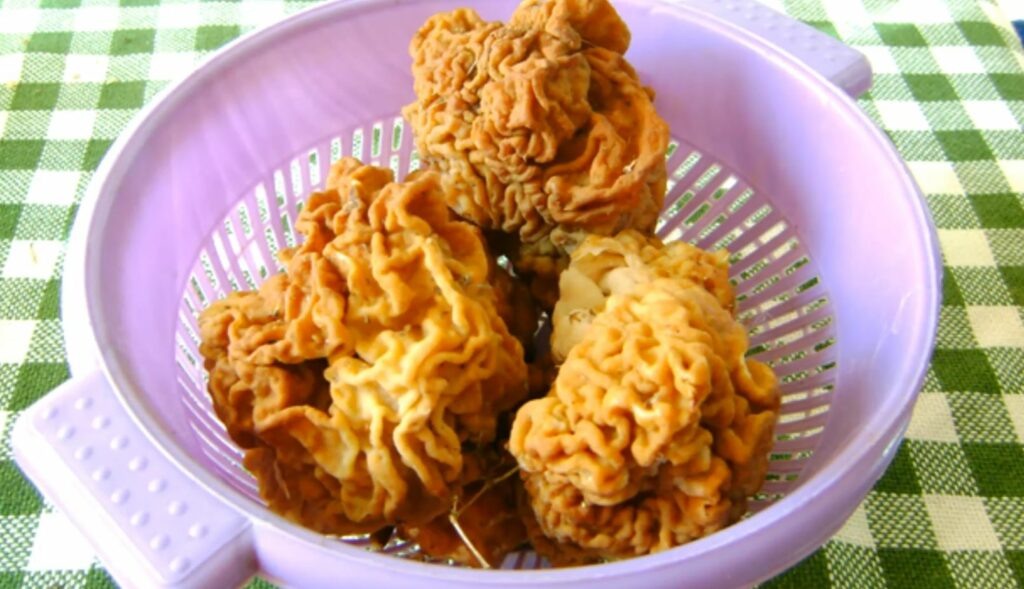 Фотография из интернета