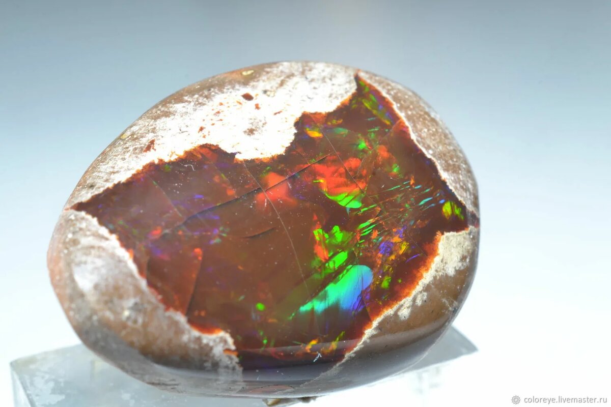 Из Интернета.