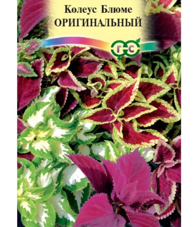 Семена колеуса