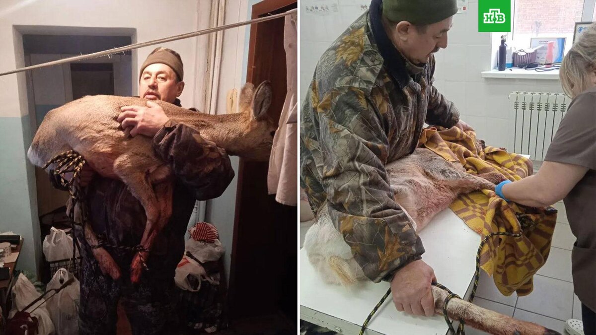    Фото: mvd_24 / t.me