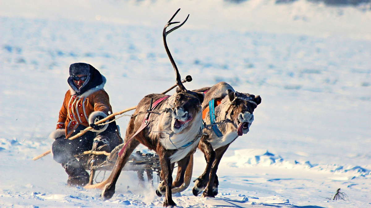 Фотограф: Александр Велигура Источник: pexels