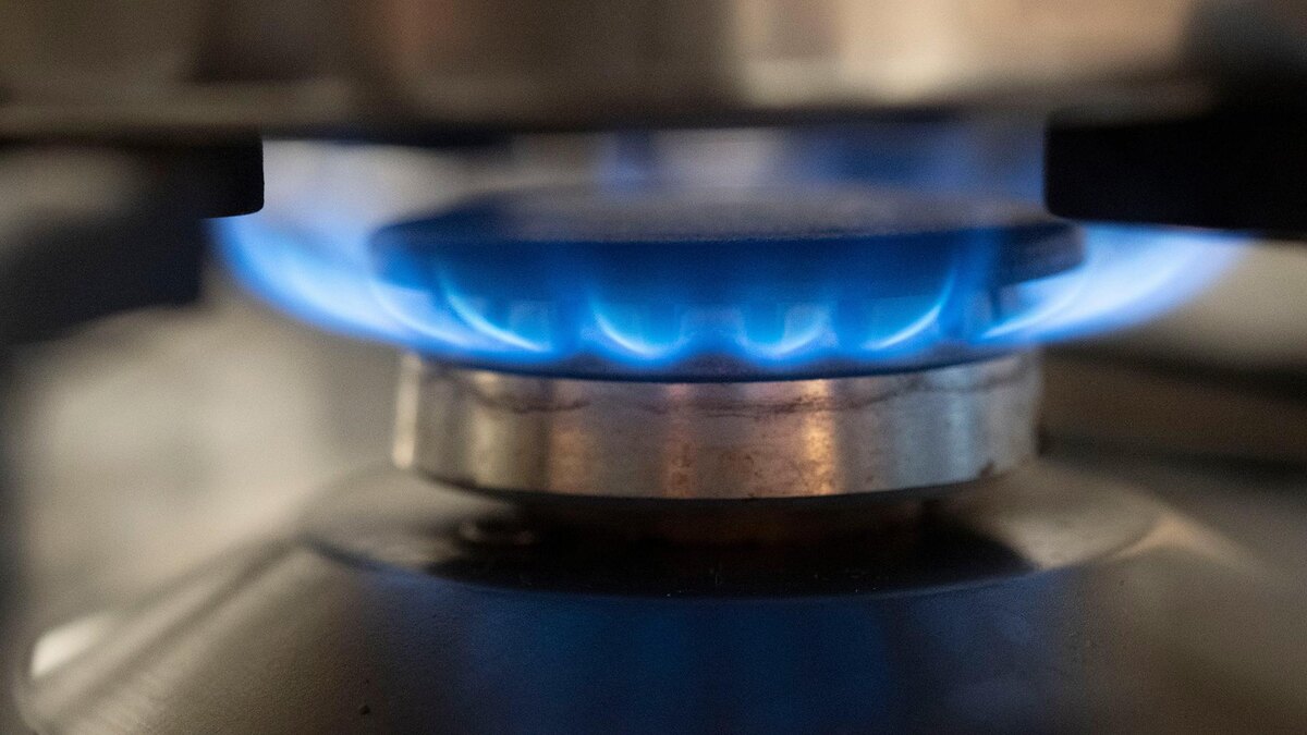    Фото: Marijan Murat/globallookpress.com