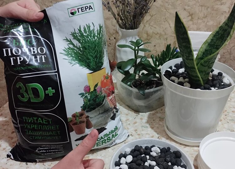 Грунт нового поколения: универсальный 3D+ от ГЕРА с гуматом калия для рассады, цветов и подпитки растений