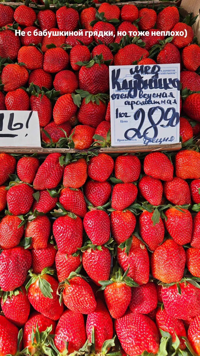  © komarovka.by, Instagram