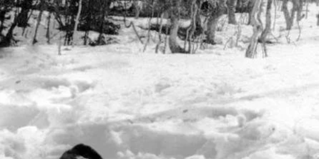 Еще раз про ожог Кривонищенко.