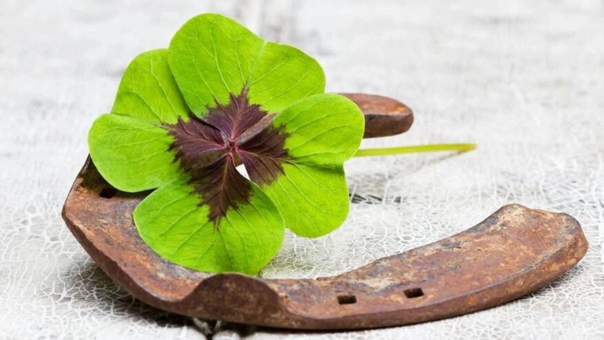    Фото: Sonja Calovini / shutterstock.com / Fotodom