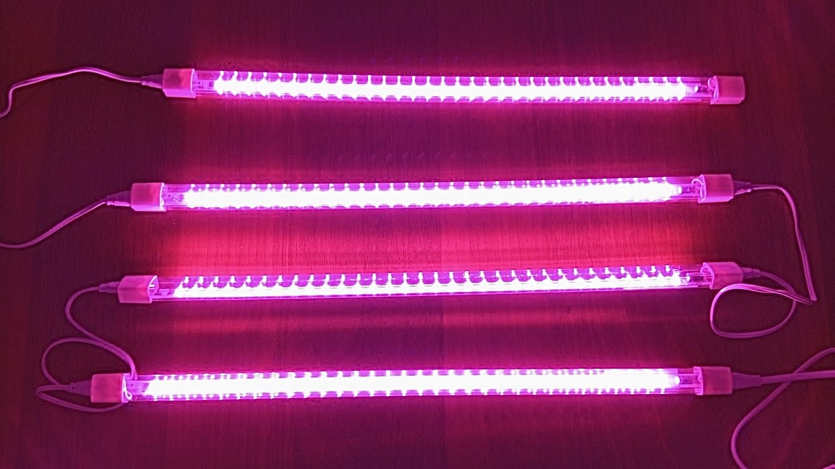 Фитолампа с фиолетовым свечением для развития корневой системы 