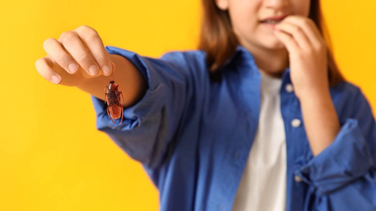    Фото: Shutterstock