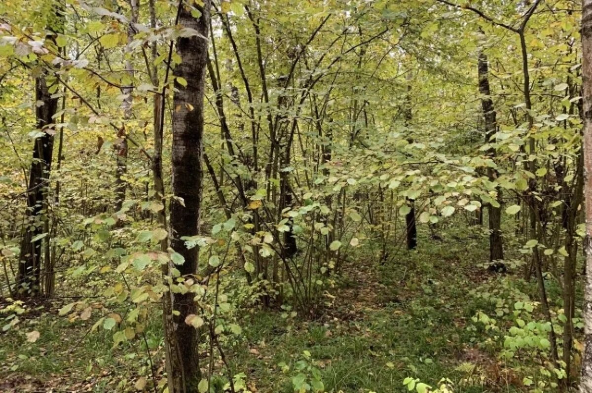    Калужанам предложили внести изменения в правила охоты