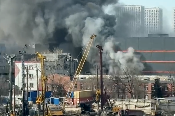 Кадр из видео/Соцсети   📷