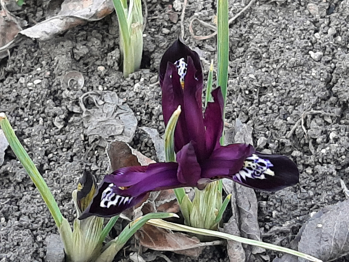 Отличия видите? Я тоже не вижу.