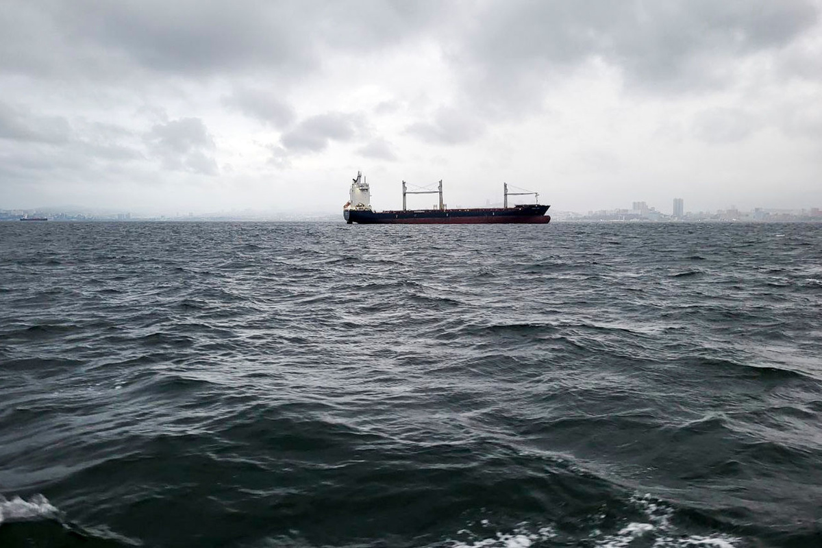 Экспорт добываемой в Иракском Курдистане нефти через турецкий порт Джейхан был приостановлен в начале марта.  Фото: ФедералПресс / Анна Миронова