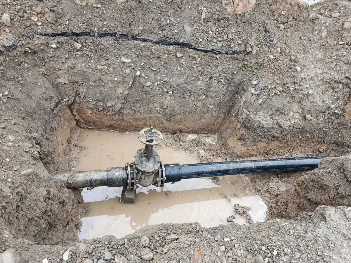     © "Интерфакс". Назир Евлоев