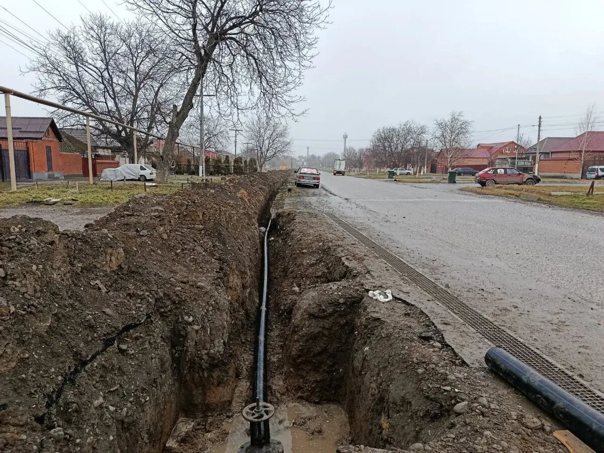    © "Интерфакс". Назир Евлоев