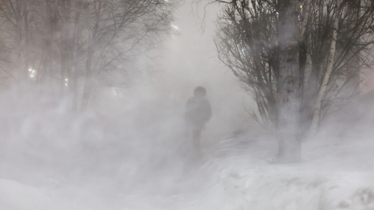    Весна на Ямале наполнена метелями. Фото: Андрей Ткачёв / "Ямал-Медиа"