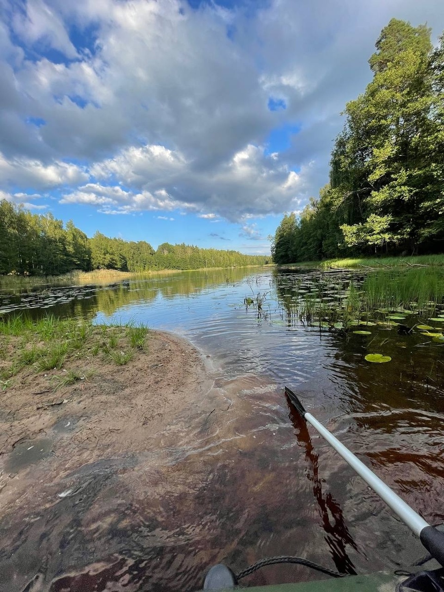 Панорама озера Кархаута. Самая западная часть озера, в месте впадения ручья из озера Косенхаута.
