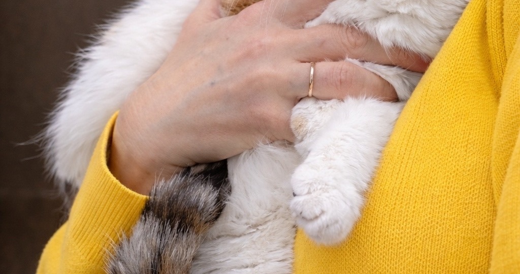 😽Луша продолжает искать дом!🏡