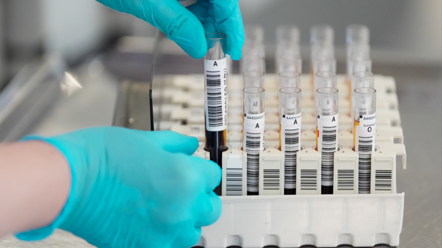    Фото: ИЗВЕСТИЯ/Эдуард Корниенко