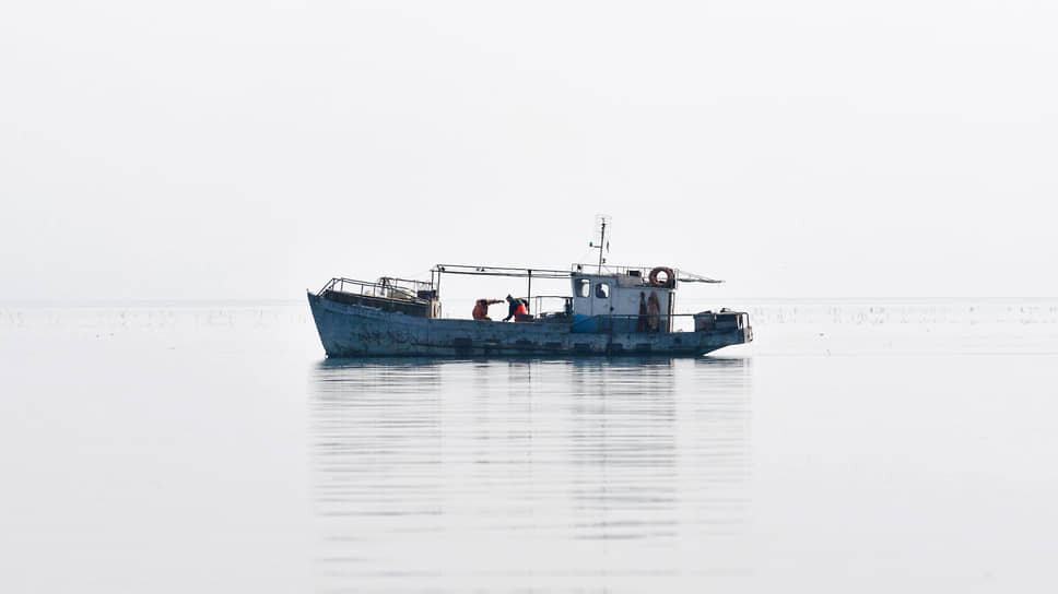 Фото: Александр Кабанов / Коммерсантъ