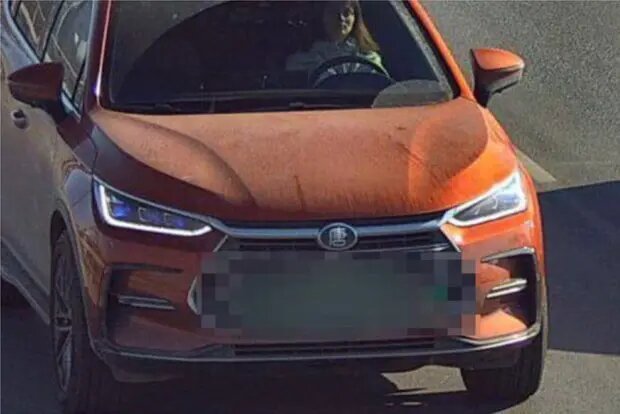    Источник: lenta.ru/ Павел Евсеев