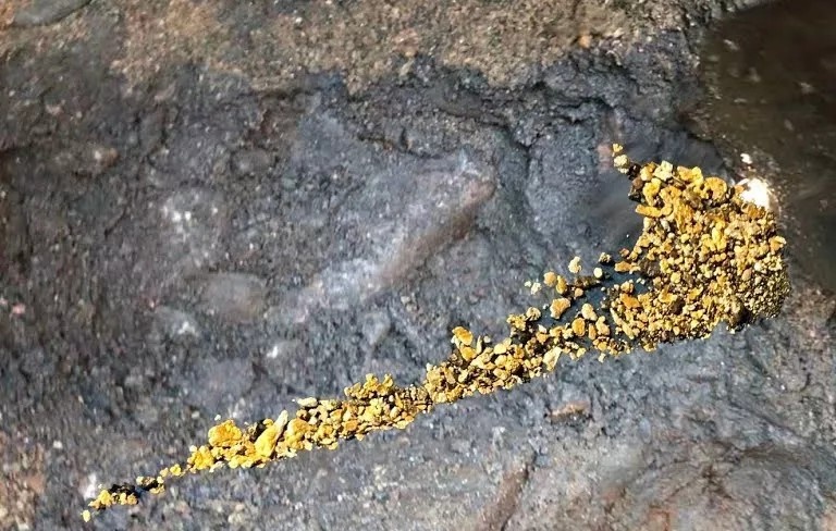 Ловушки для самородного золота: где и как искать драгоценный металл