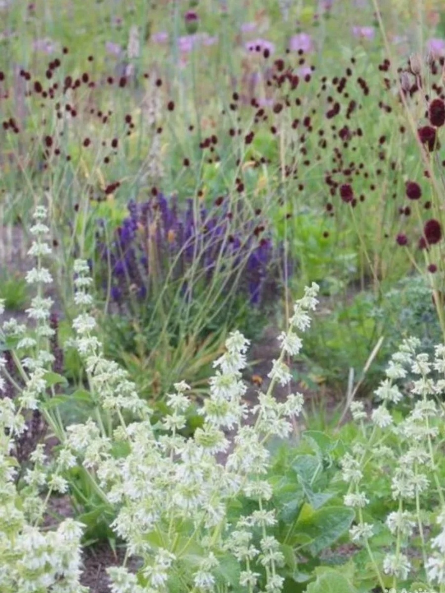 Фото Алёна Градобоева-Патрушева 