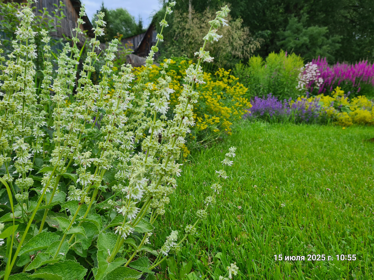 Фото Алёна Градобоева-Патрушева 