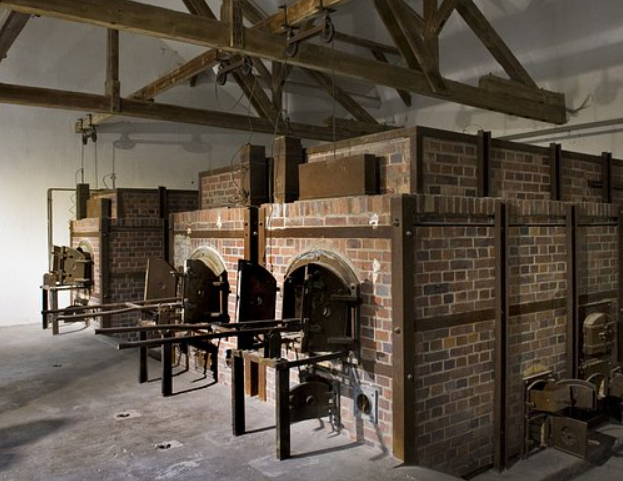 Фото из свободных источников.