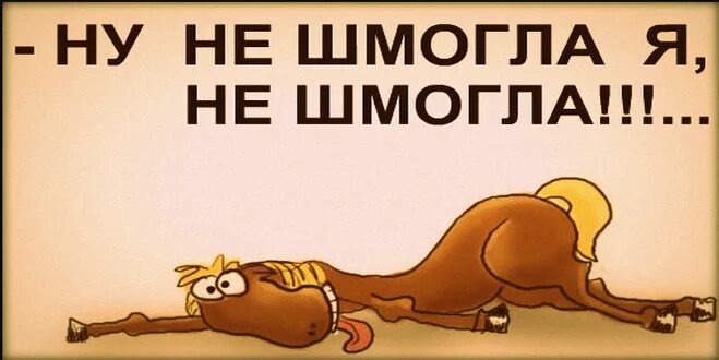 источник Яндекс-картинки