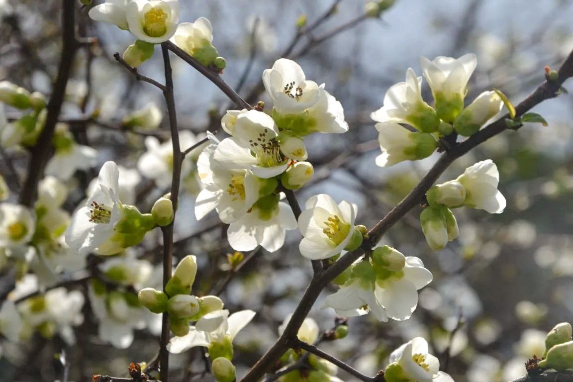 фото: Telegram/Сочи Официальный  📷
