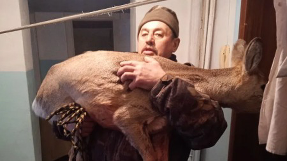    Фото: ГУ МВД России по Красноярскому краю