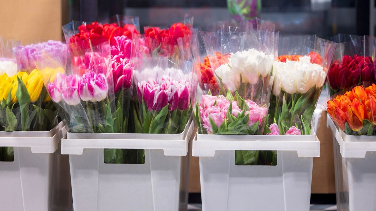    Фото: Федор Воронов / «Ямал-Медиа»