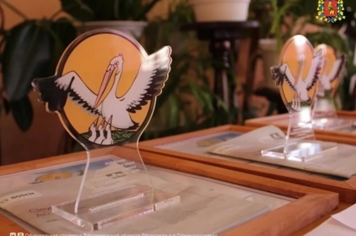    30 учителей Владимирской области поборются за звание «Педагог года — 2026»