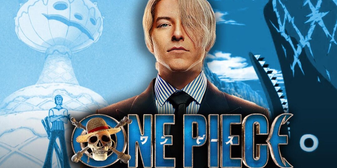 Занятия семь дней в неделю и поездка в Бразилию к мастерам БЖЖ: как тренировалась звезда сериала One Piece