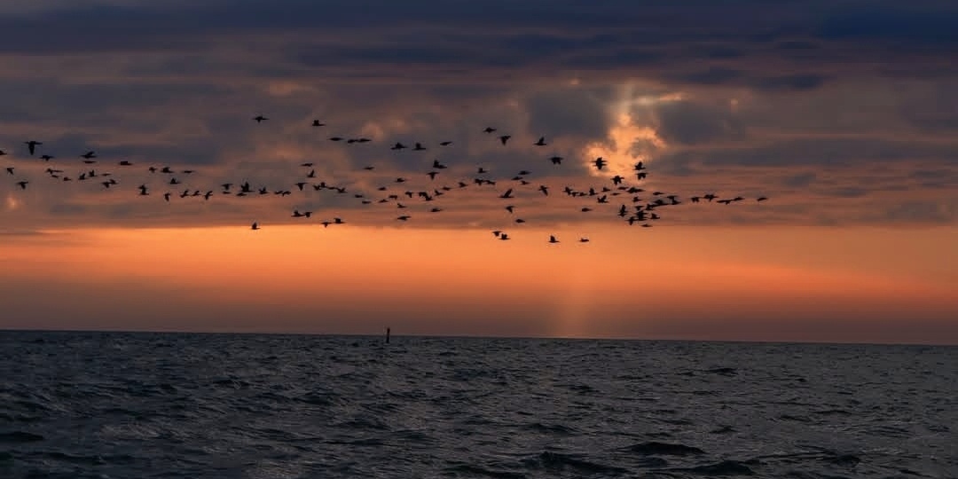 — Как ты, так и я, —  ехидно рассмеялась дочь. Только вот ситуации были разные