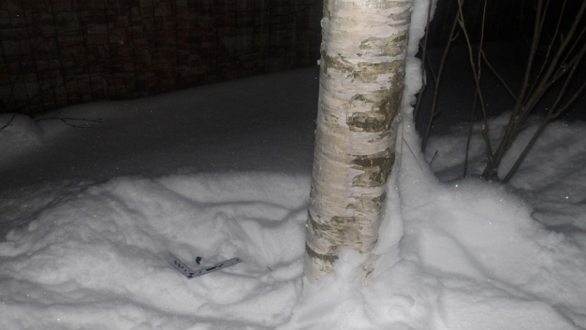    Фото МВД по Коми