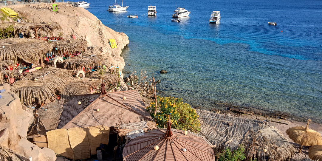 Sharks Bay: тот самый вид с открытки