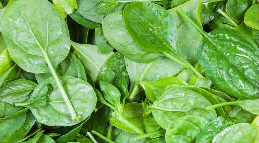 На фото: Листья шпината
